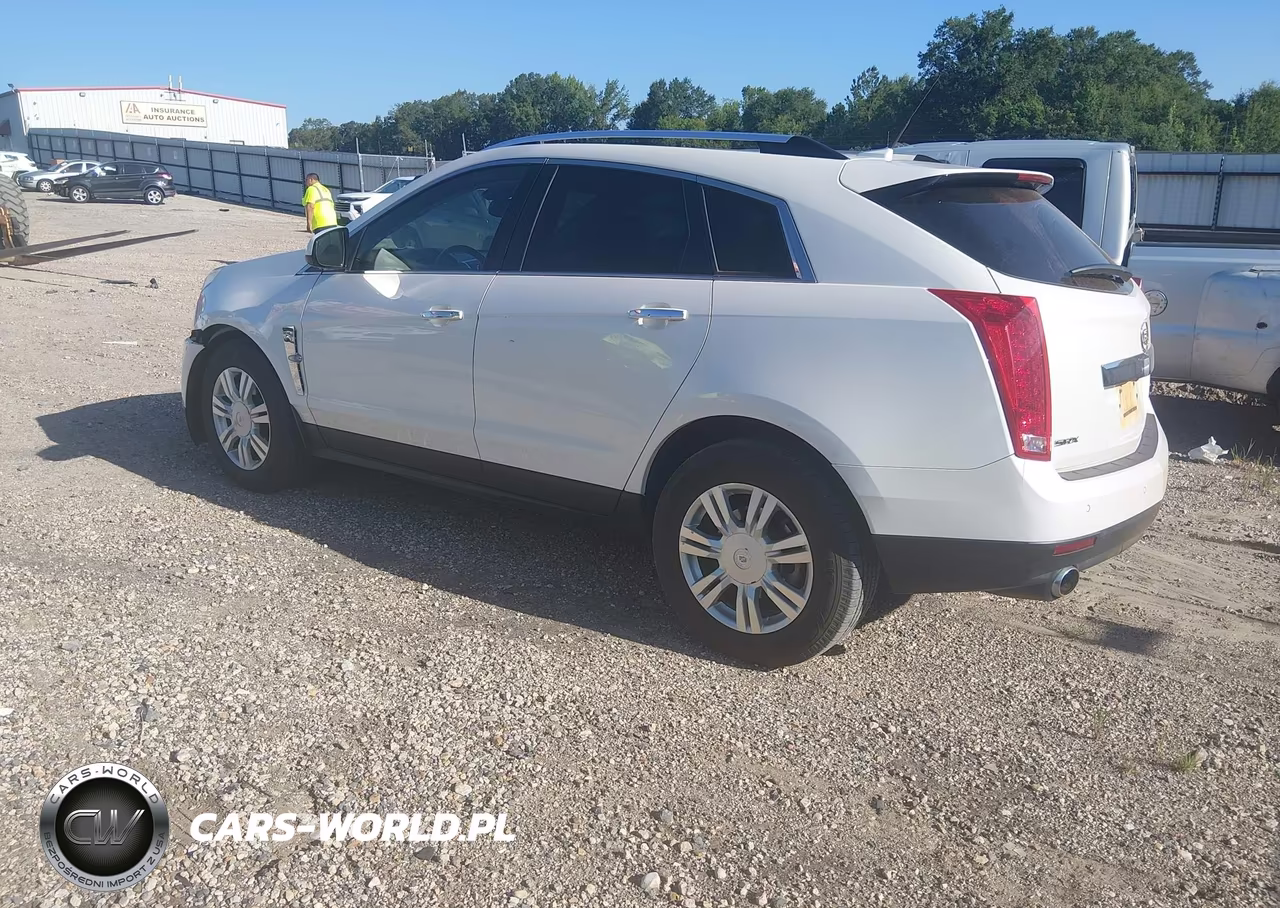 2010 Cadillac Srx Luxury Collection VIN:3GYFNAEY9AS557638 - 3