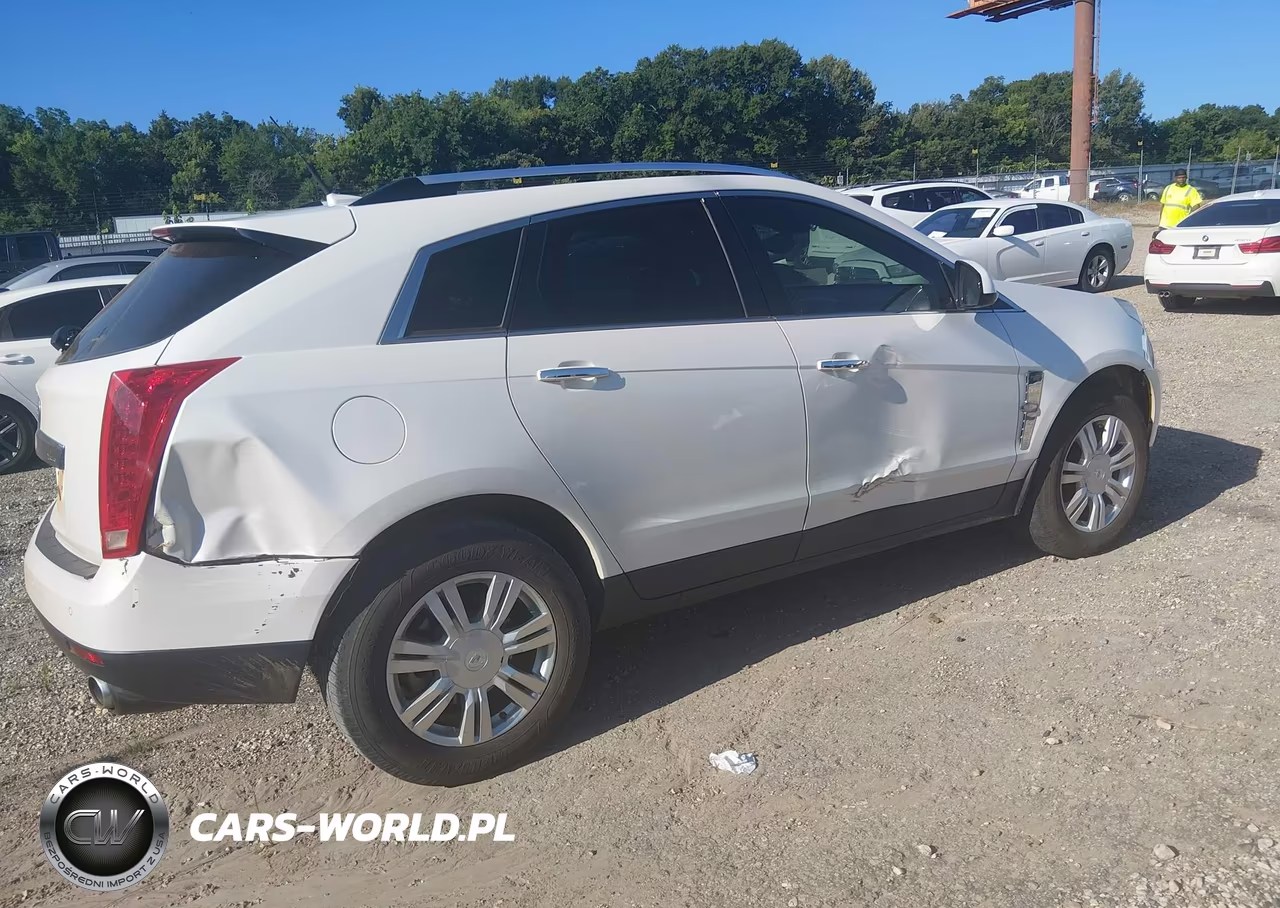 2010 Cadillac Srx Luxury Collection VIN:3GYFNAEY9AS557638 - 4