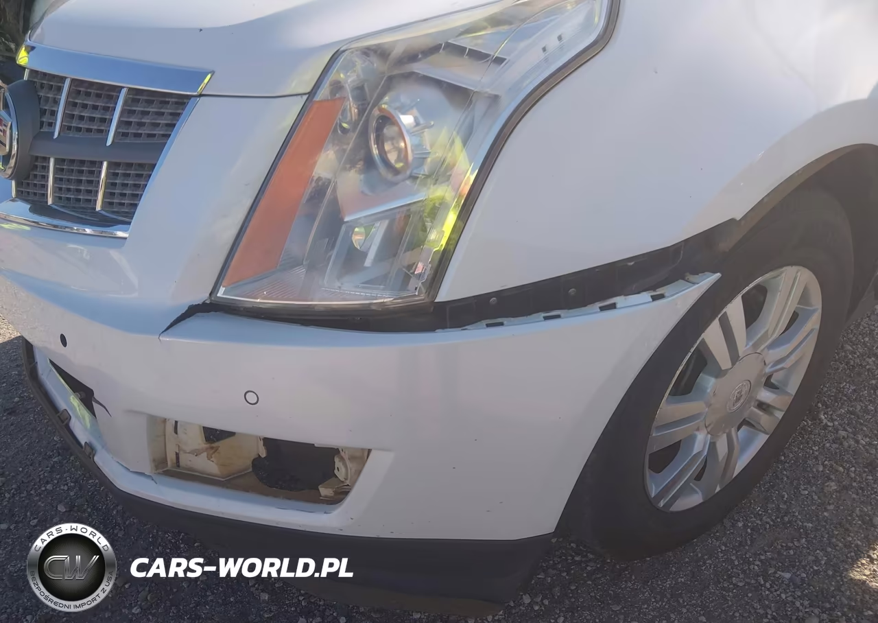 2010 Cadillac Srx Luxury Collection VIN:3GYFNAEY9AS557638 - 6