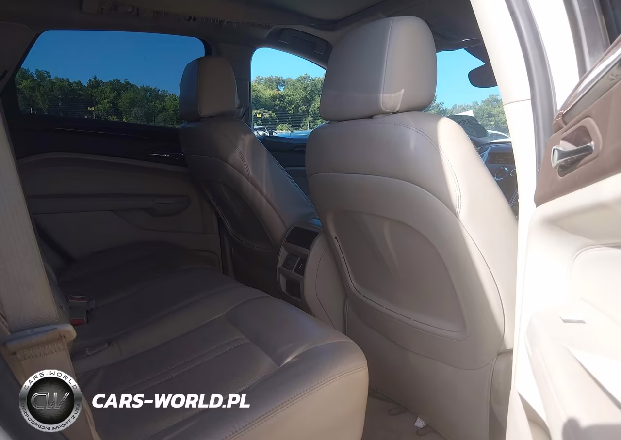 2010 Cadillac Srx Luxury Collection VIN:3GYFNAEY9AS557638 - 8