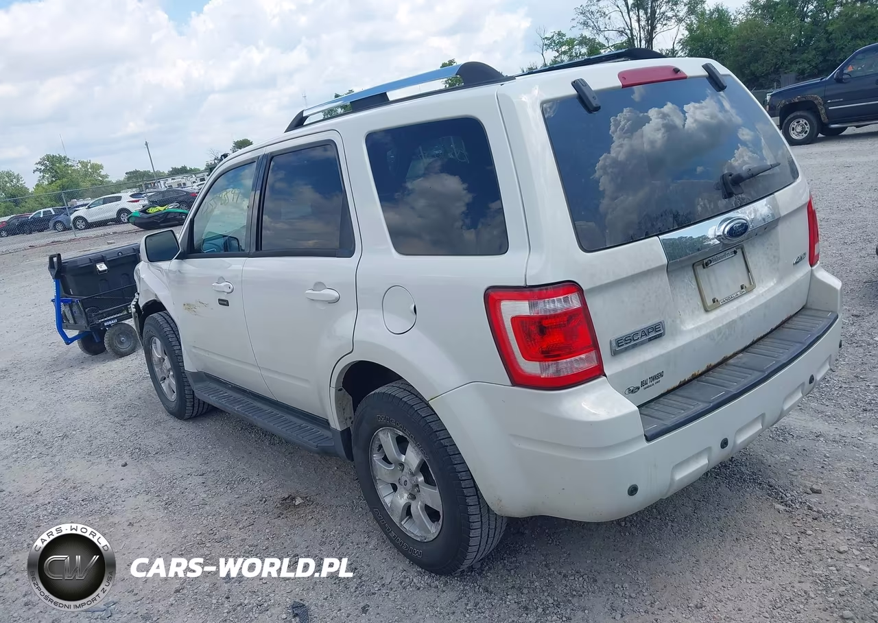 2009 Ford Escape Limited VIN:1FMCU94G29KB87347 - 3
