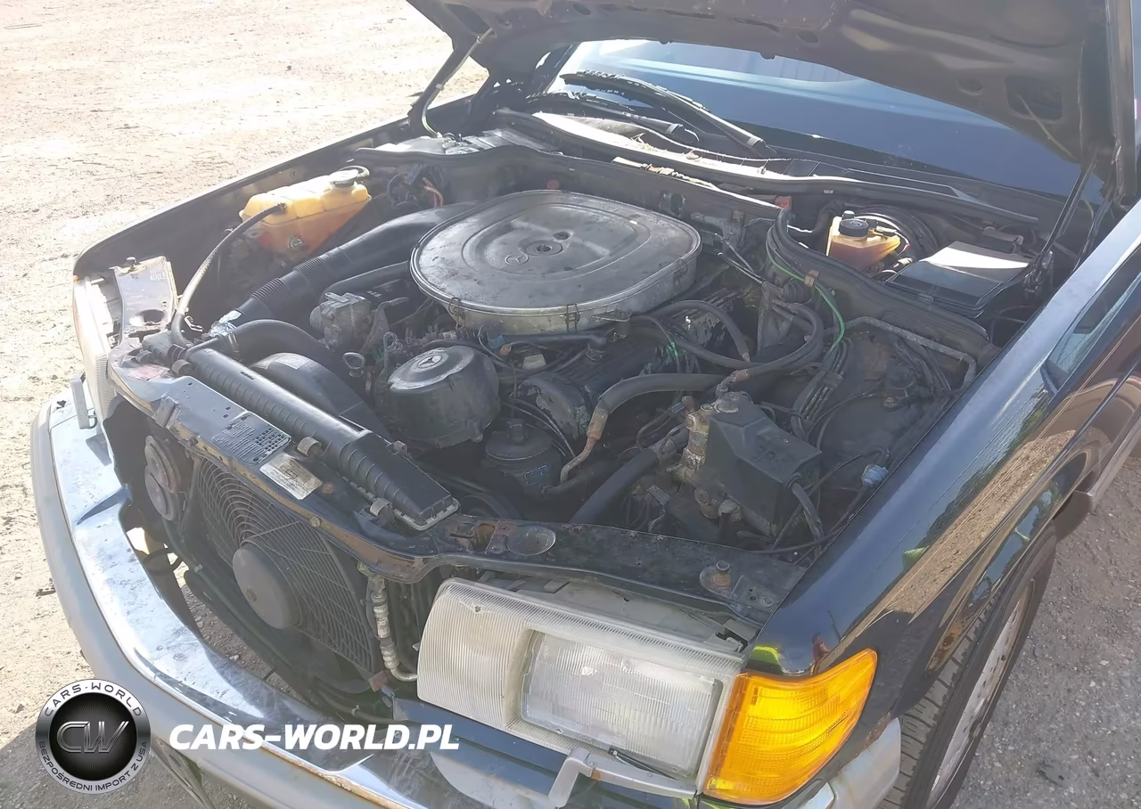 1986 Mercedes-Benz 420 Sel VIN:WDBCA35D2GA269515 - 10