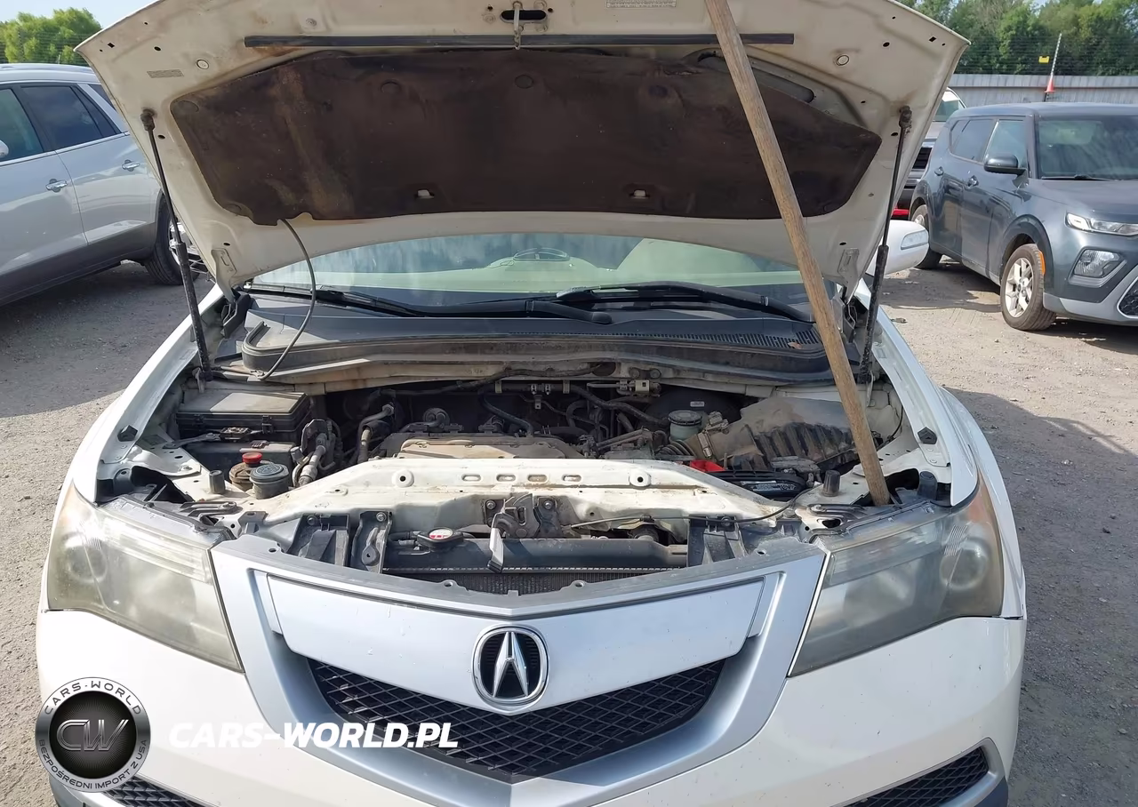 2010 Acura Mdx VIN:2HNYD2H27AH505338 - 10