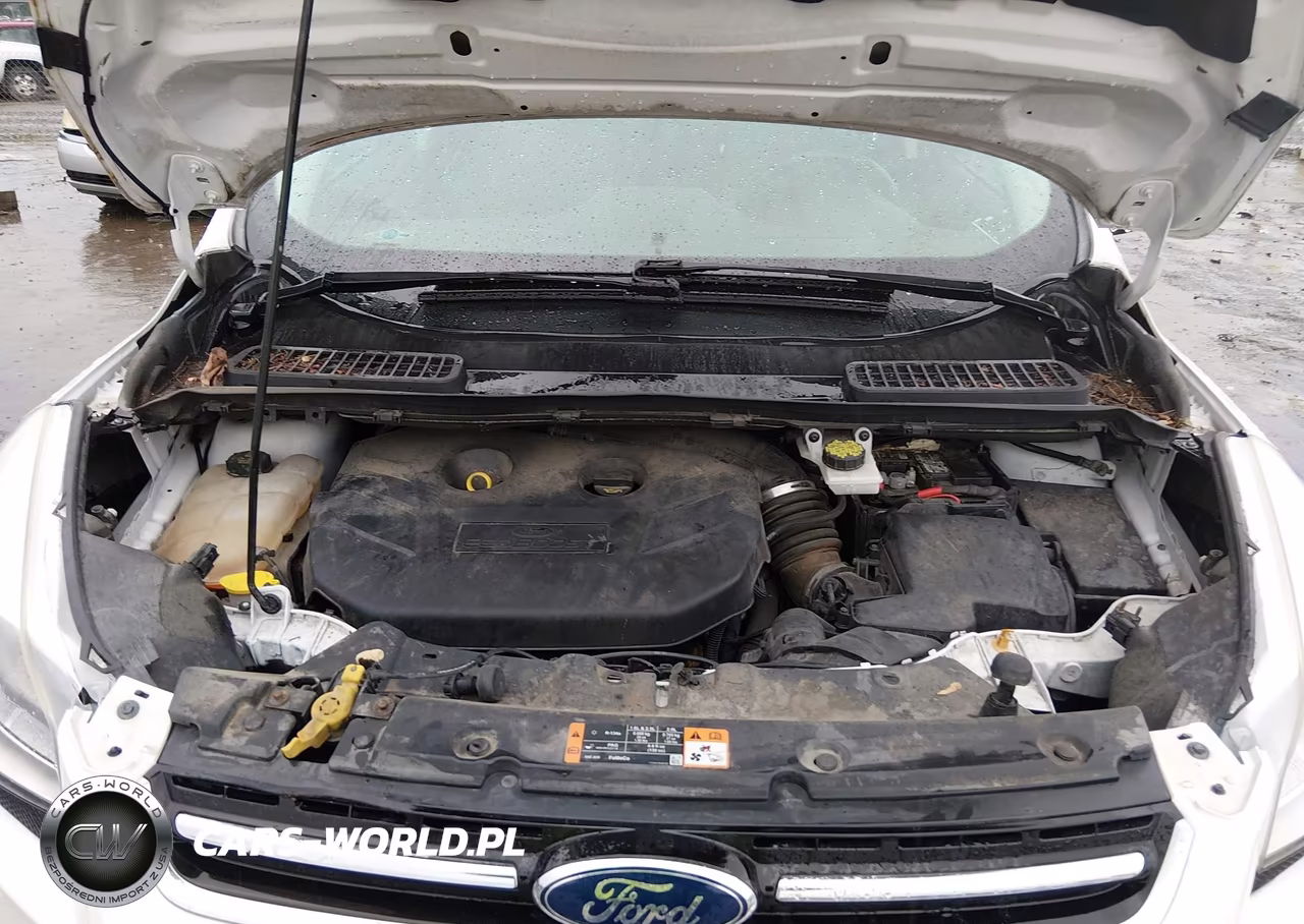 2016 Ford Escape Titanium VIN:1FMCU9J93GUA06988 - 10