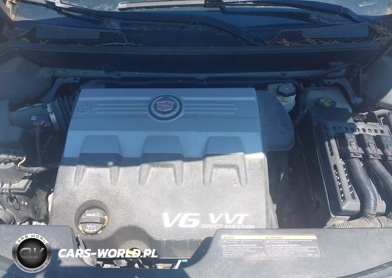 2010 Cadillac Srx Performance Collection VIN:3GYFNEEY5AS500361 - 10