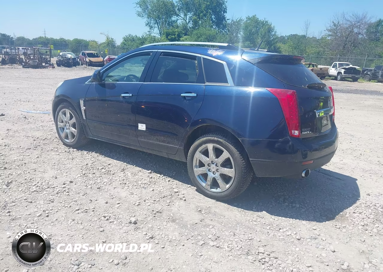 2010 Cadillac Srx Performance Collection VIN:3GYFNEEY5AS500361 - 3