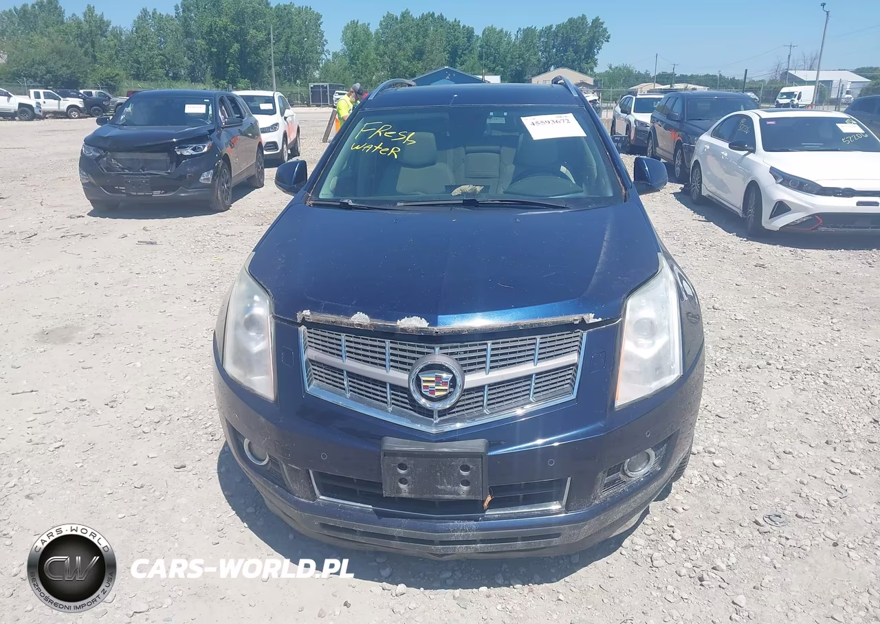 2010 Cadillac Srx Performance Collection VIN:3GYFNEEY5AS500361 - 6