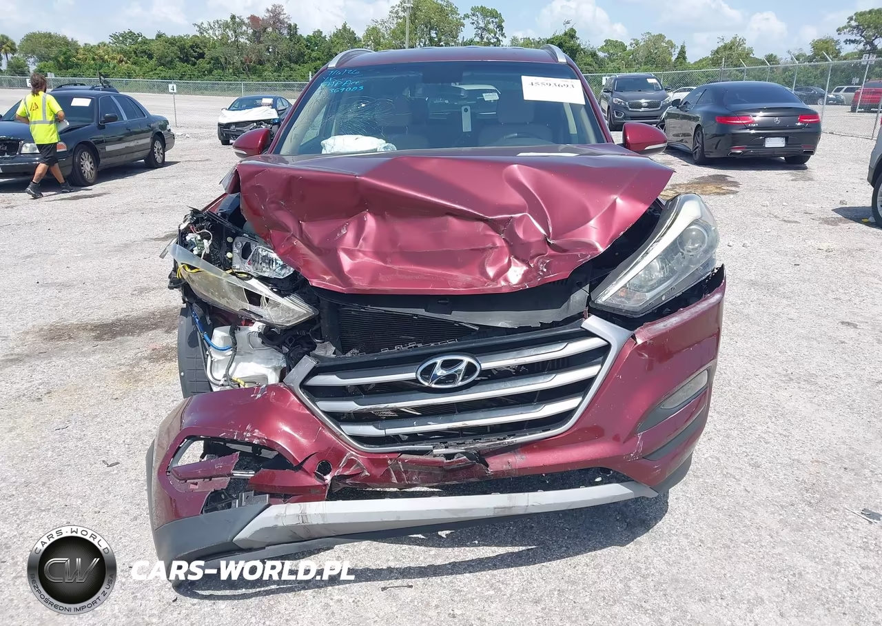 2017 Hyundai Tucson Sport VIN:KM8J3CA23HU391075 - 12