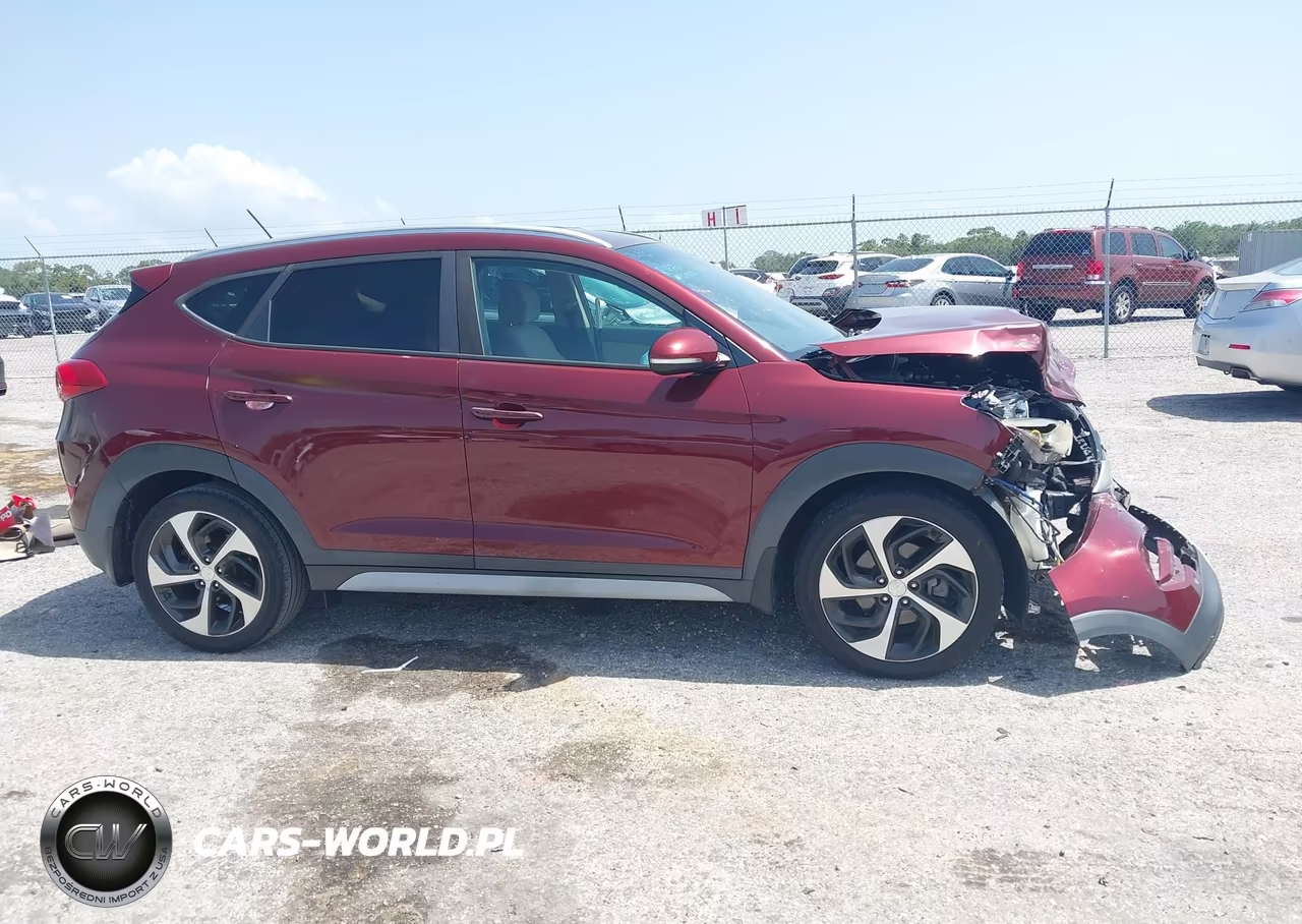 2017 Hyundai Tucson Sport VIN:KM8J3CA23HU391075 - 13