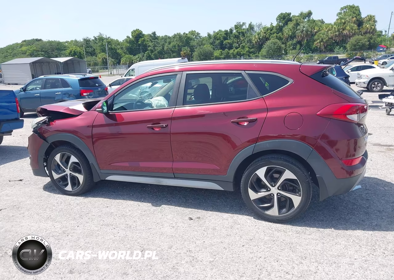 2017 Hyundai Tucson Sport VIN:KM8J3CA23HU391075 - 14