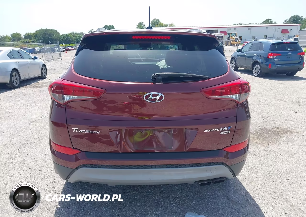 2017 Hyundai Tucson Sport VIN:KM8J3CA23HU391075 - 16