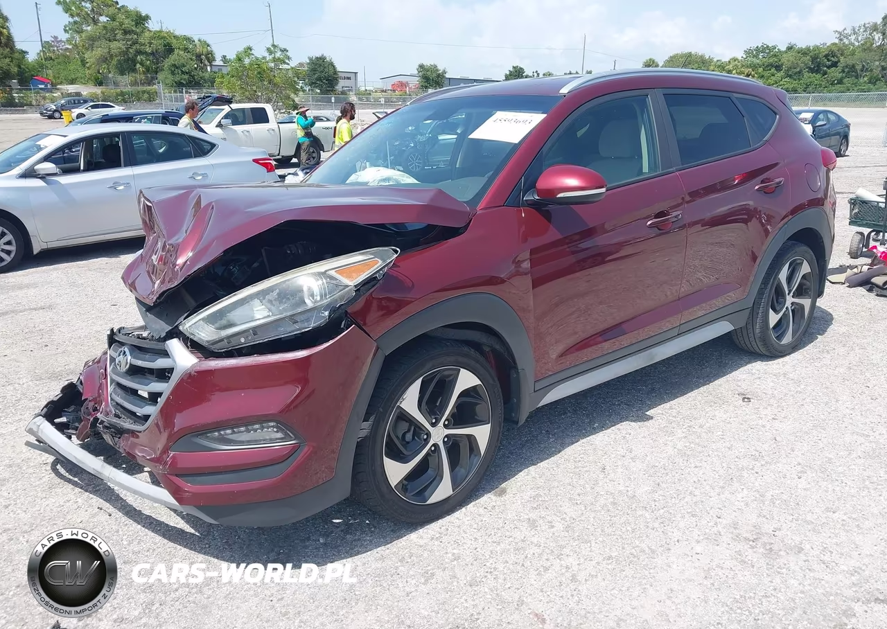 2017 Hyundai Tucson Sport VIN:KM8J3CA23HU391075 - 2