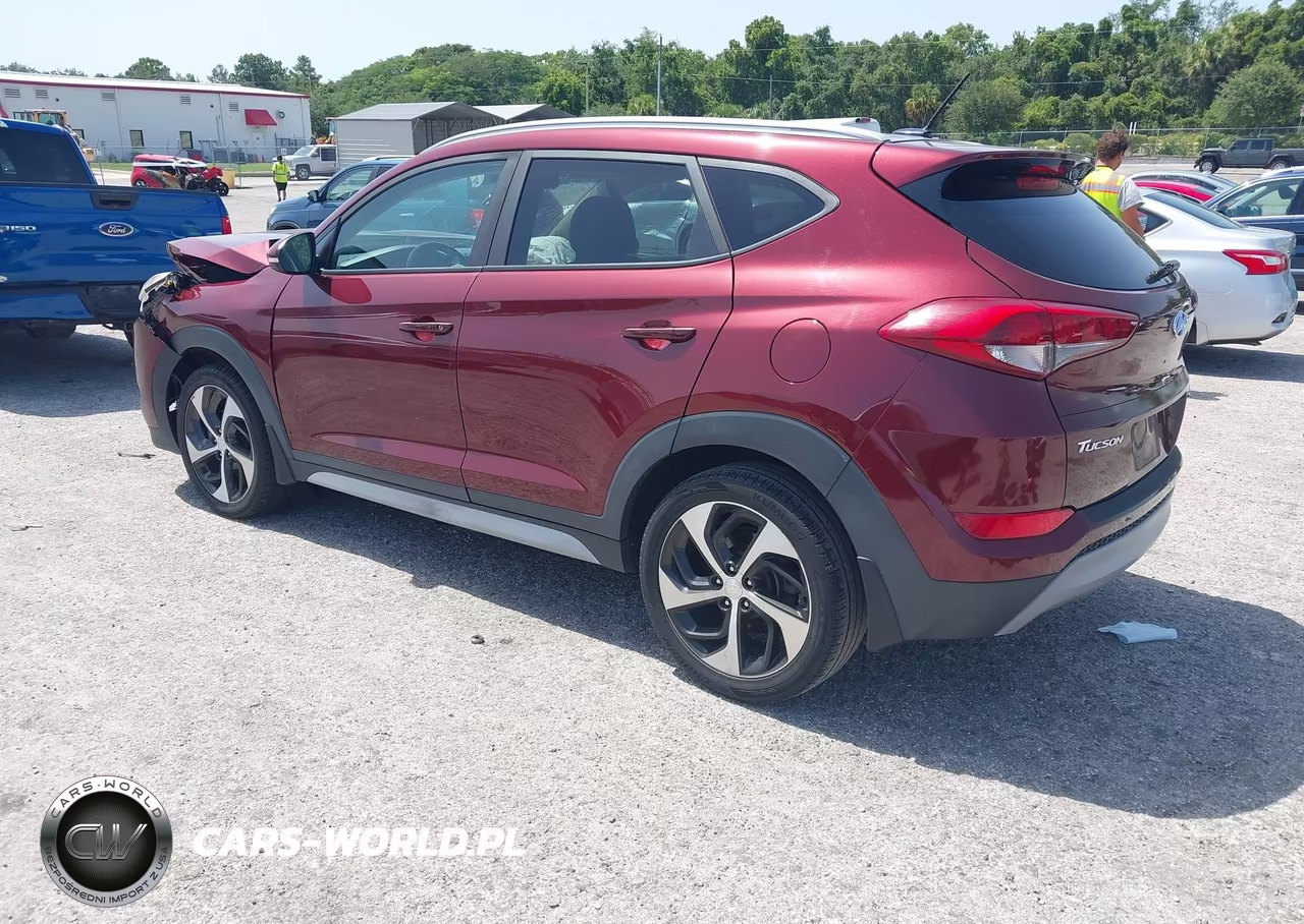 2017 Hyundai Tucson Sport VIN:KM8J3CA23HU391075 - 3