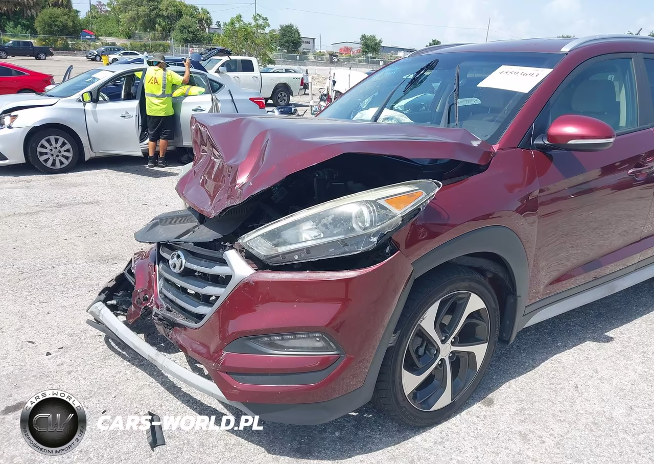 2017 Hyundai Tucson Sport VIN:KM8J3CA23HU391075 - 6