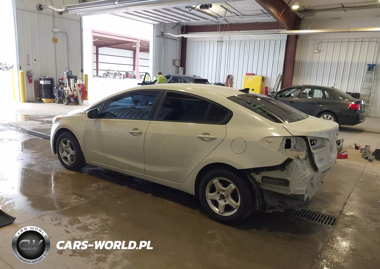 2015 Kia Forte Lx VIN:KNAFK4A69F5312616 - 3