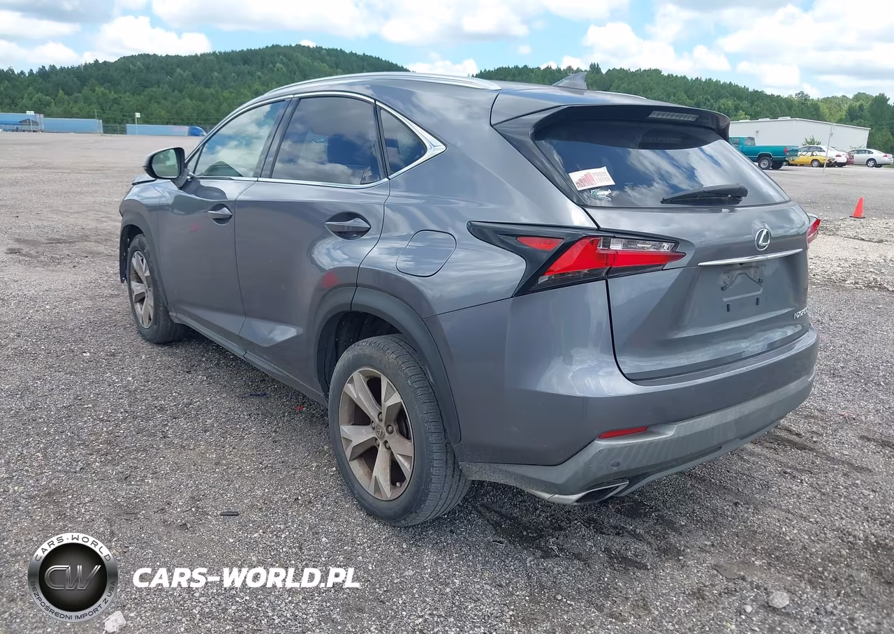 2017 Lexus Nx 200T VIN:JTJYARBZ1H2056672 - 3