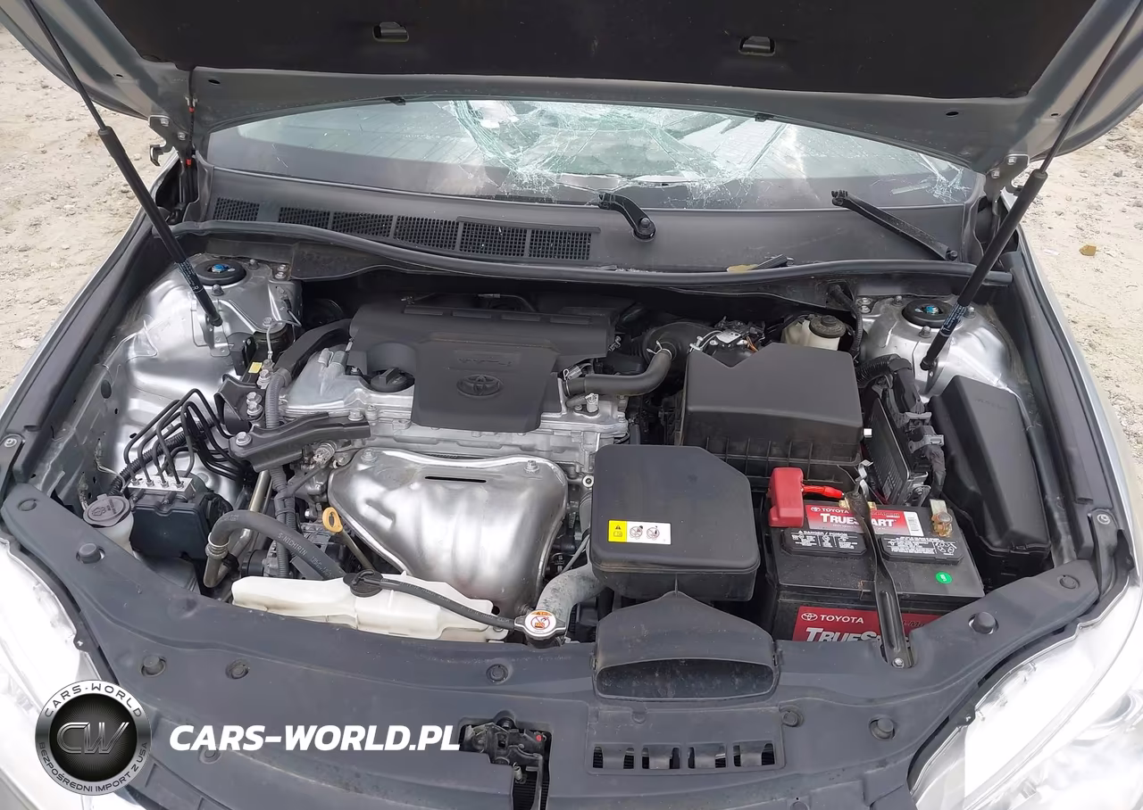 2017 Toyota Camry Xle VIN:4T1BF1FK2HU771159 - 10