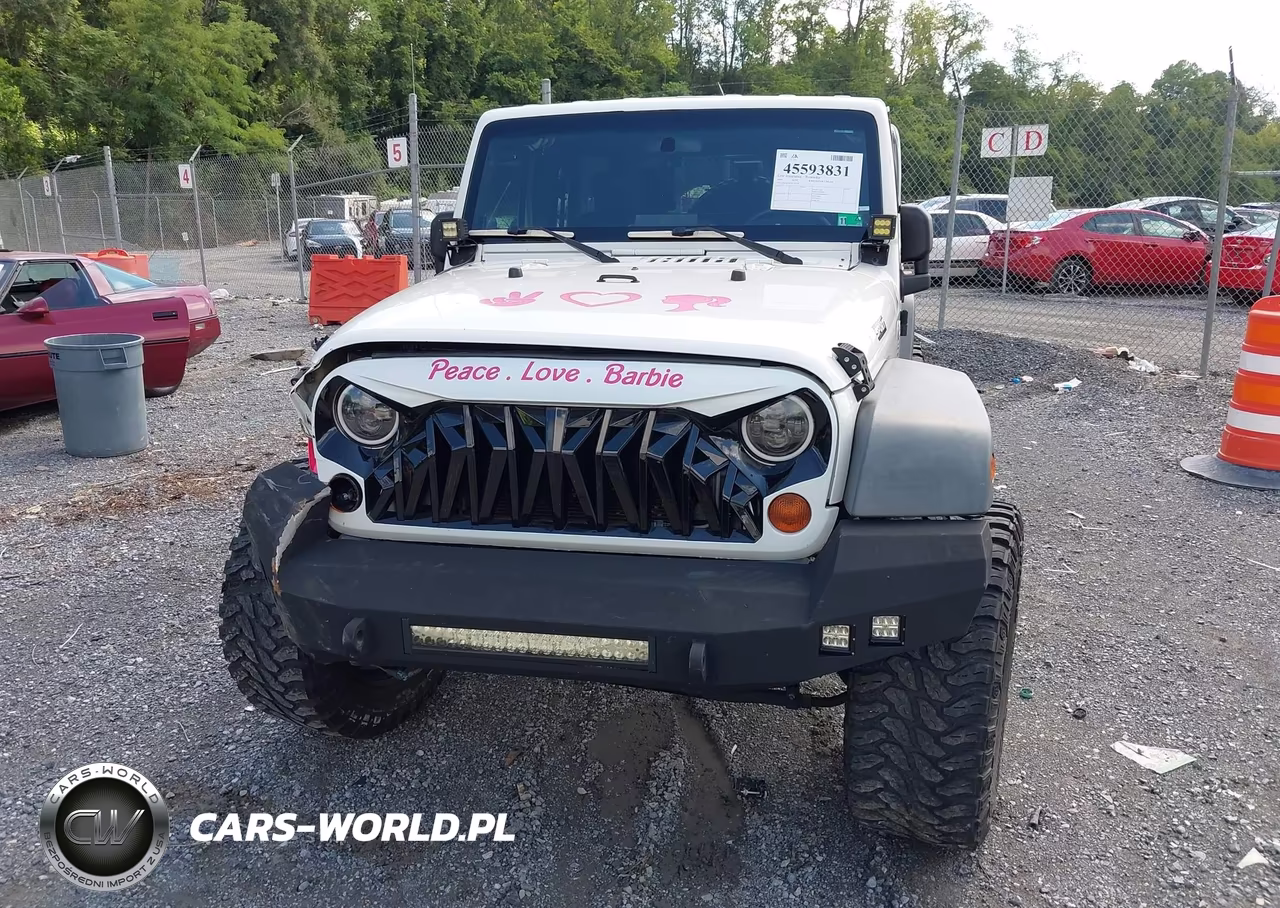2009 Jeep Wrangler Unlimited X VIN:1J4GA39109L705234 - 12