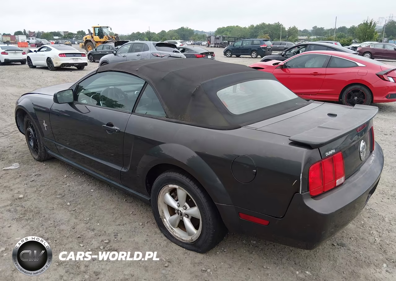2007 Ford Mustang V6 Deluxe-V6 Premium VIN:1ZVHT84N675364769 - 3