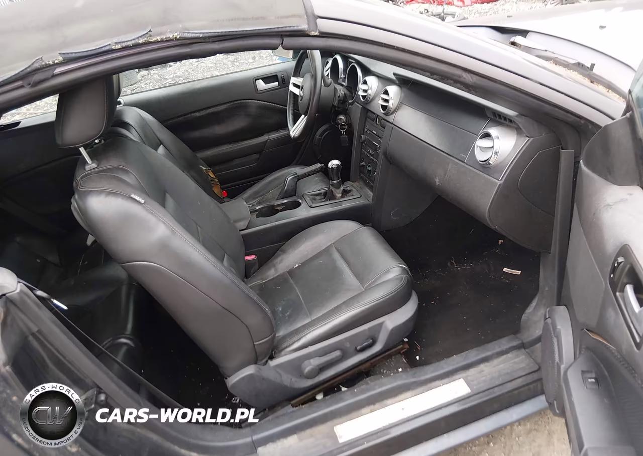 2007 Ford Mustang V6 Deluxe-V6 Premium VIN:1ZVHT84N675364769 - 5