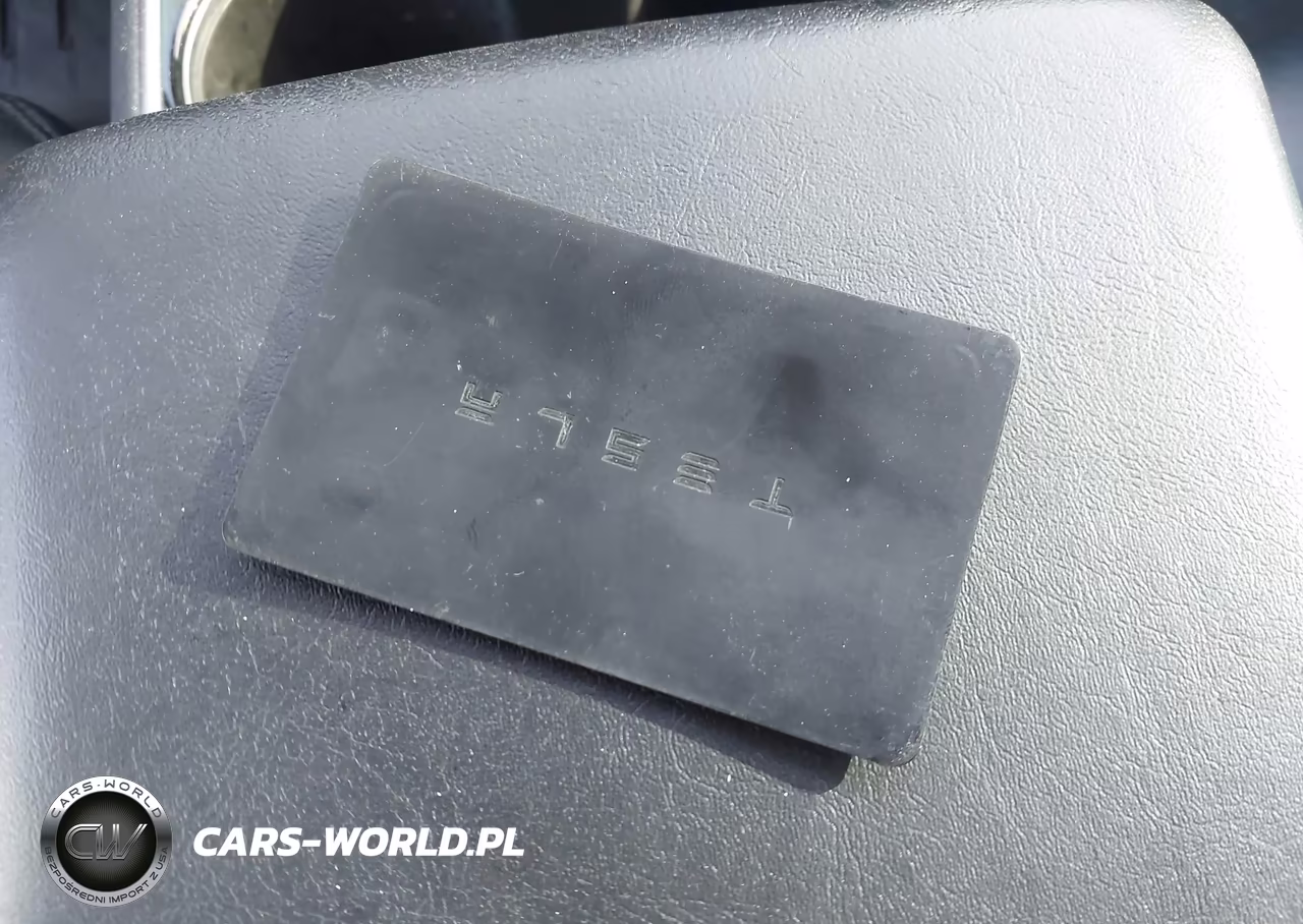 2020 Tesla Model 3 Long Range Dual Motor All-Wheel Drive VIN:5YJ3E1EB4LF790827 - 11