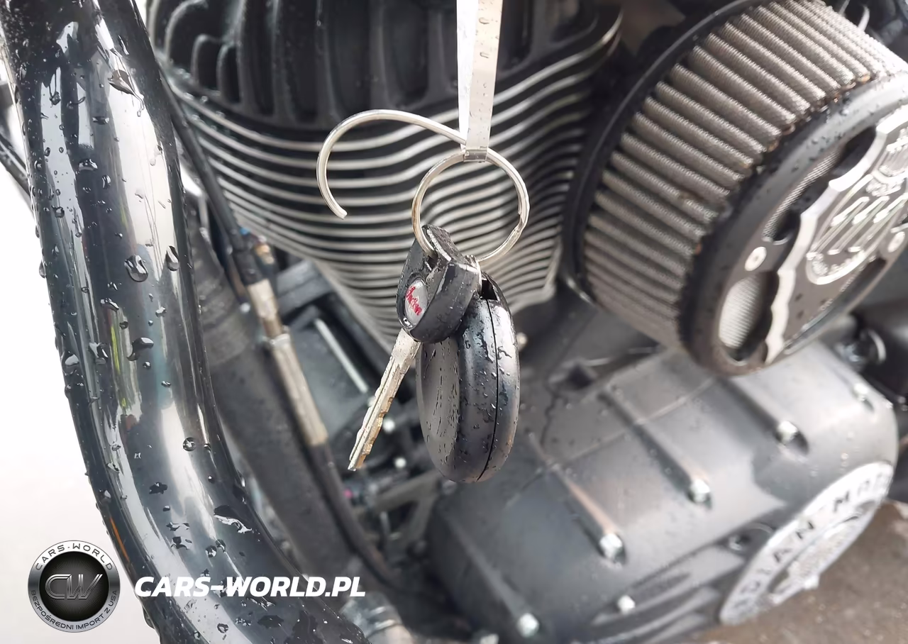 2017 Indian Motorcycle Co. Chief Dark Horse VIN:56KCCDAA6H3354029 - 11