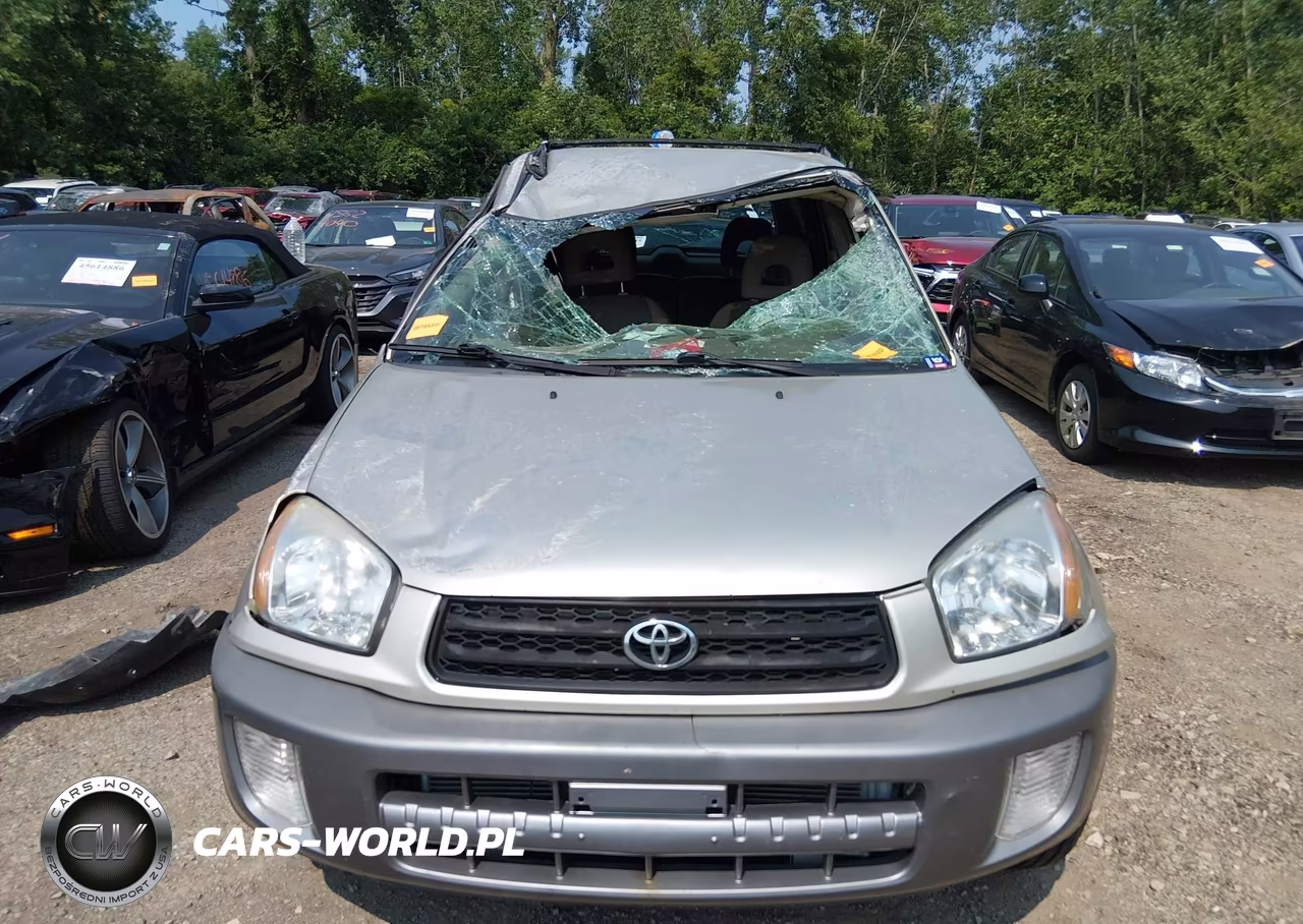 2002 Toyota Rav4 VIN:JTEGH20VX20065810 - 11