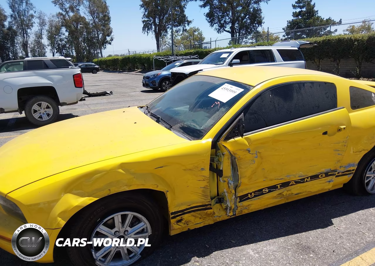 2006 Ford Mustang V6 VIN:1ZVFT80N165211809 - 14