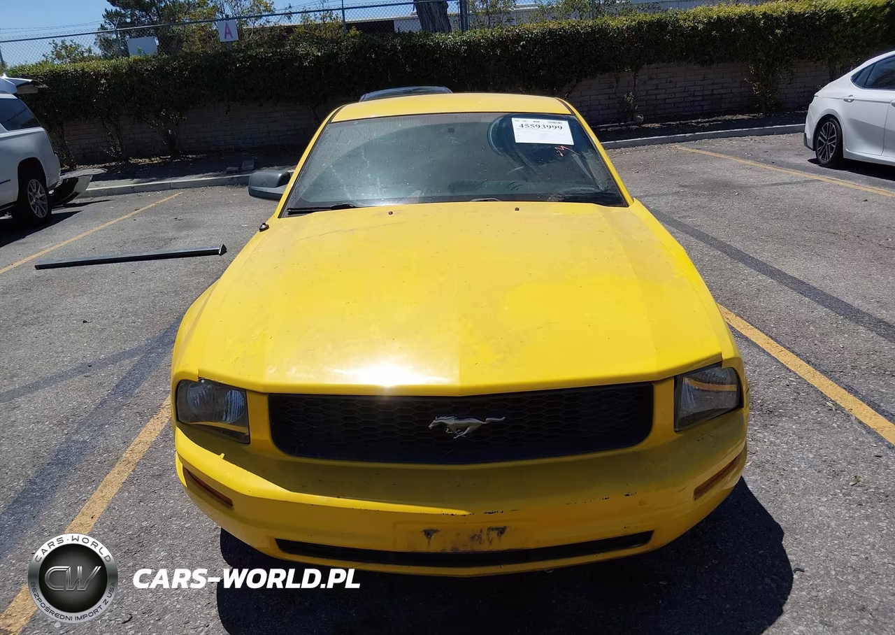 2006 Ford Mustang V6 VIN:1ZVFT80N165211809 - 15