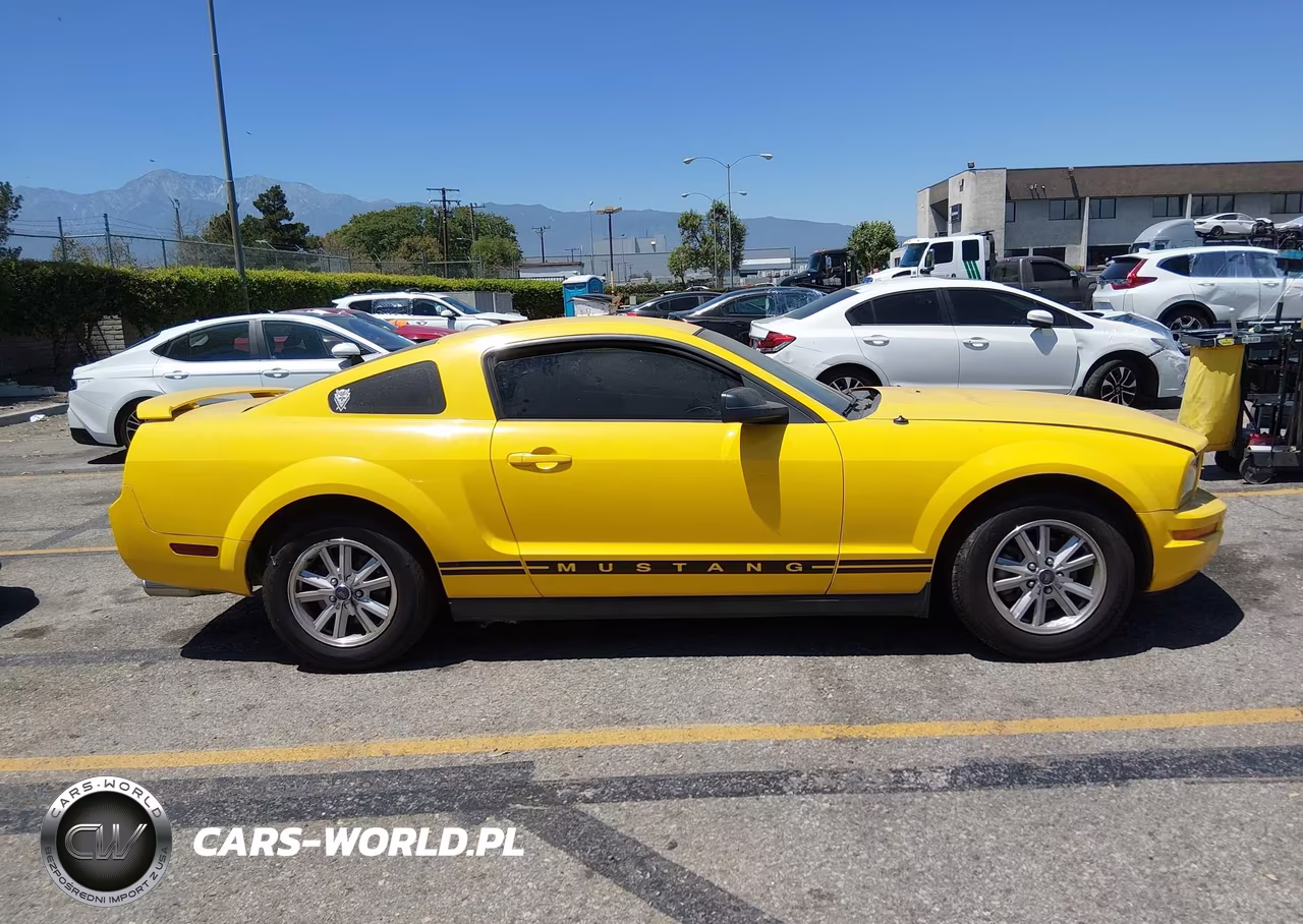 2006 Ford Mustang V6 VIN:1ZVFT80N165211809 - 16