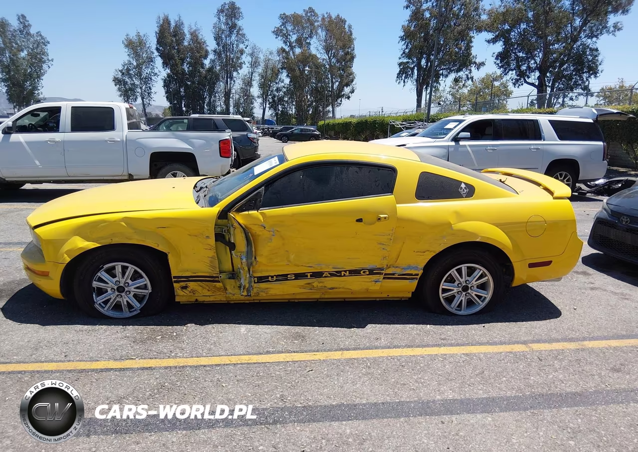 2006 Ford Mustang V6 VIN:1ZVFT80N165211809 - 17