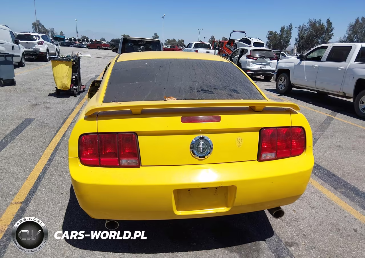 2006 Ford Mustang V6 VIN:1ZVFT80N165211809 - 19