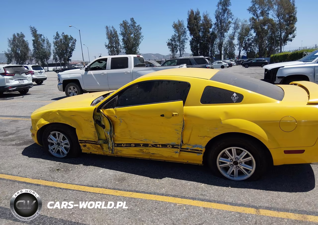 2006 Ford Mustang V6 VIN:1ZVFT80N165211809 - 6