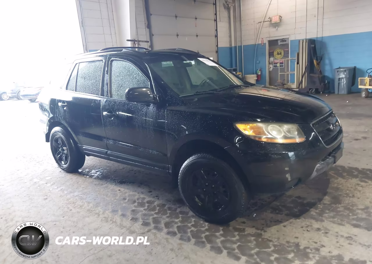 2009 Hyundai Santa Fe Gls
