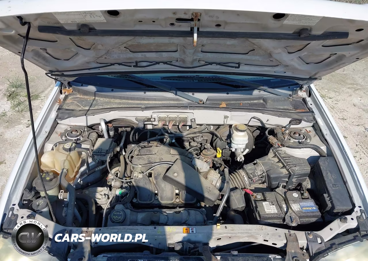 2007 Ford Escape Xlt-Xlt Sport VIN:1FMYU93147KA59742 - 10
