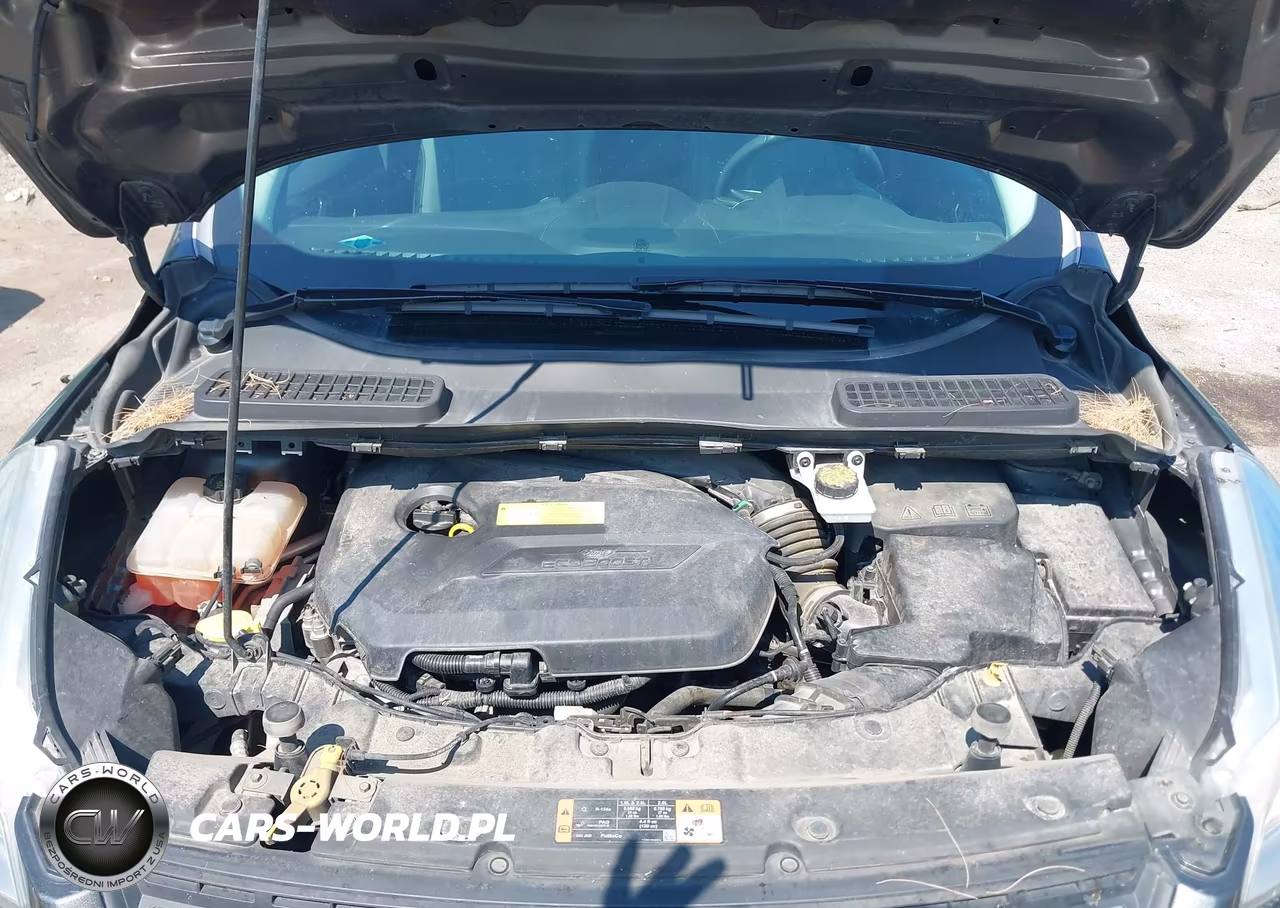 2016 Ford Escape Se VIN:1FMCU9GX6GUA08496 - 10