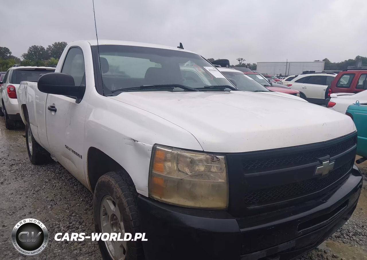2009 Chevrolet Silverado 1500 Work Truck