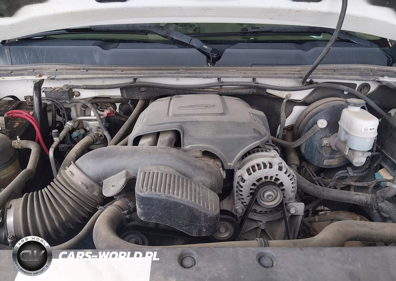 2009 Chevrolet Silverado 1500 Work Truck VIN:1GCEK14C59Z119584 - 10