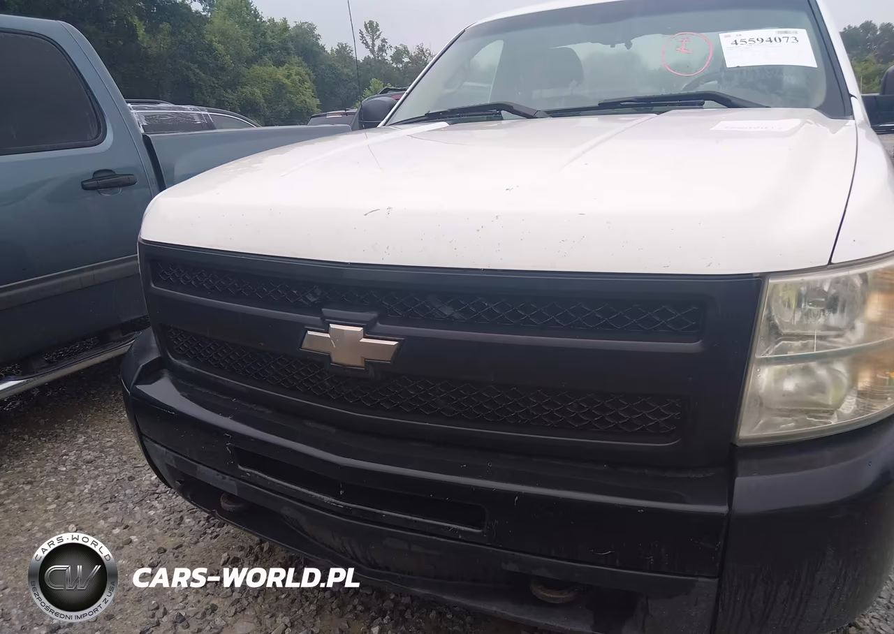2009 Chevrolet Silverado 1500 Work Truck VIN:1GCEK14C59Z119584 - 12