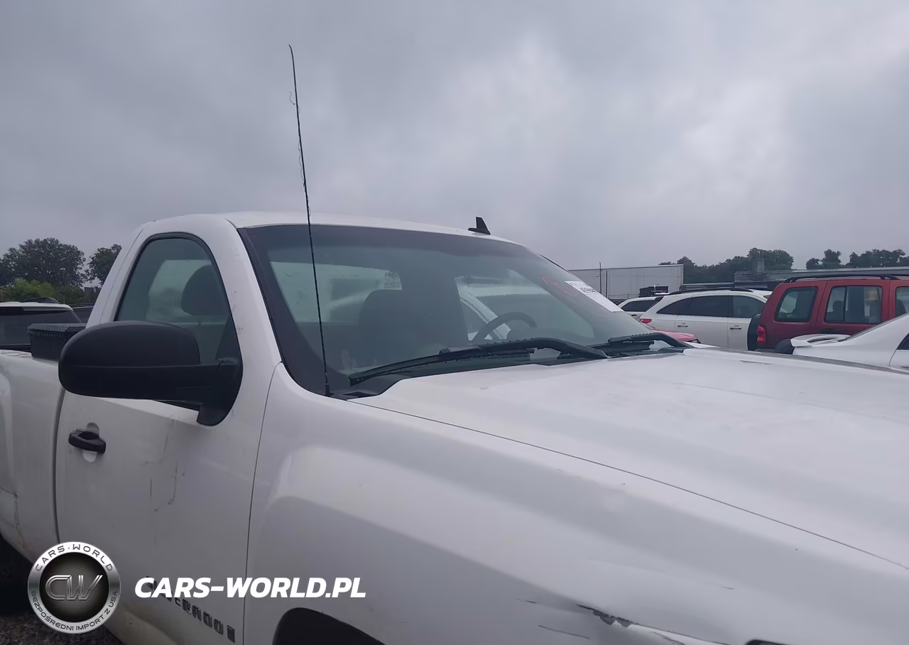 2009 Chevrolet Silverado 1500 Work Truck VIN:1GCEK14C59Z119584 - 13