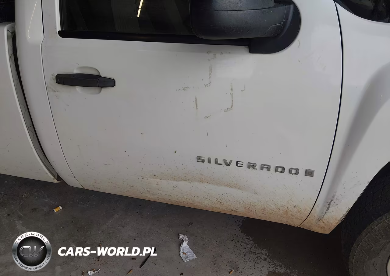 2009 Chevrolet Silverado 1500 Work Truck VIN:1GCEK14C59Z119584 - 17