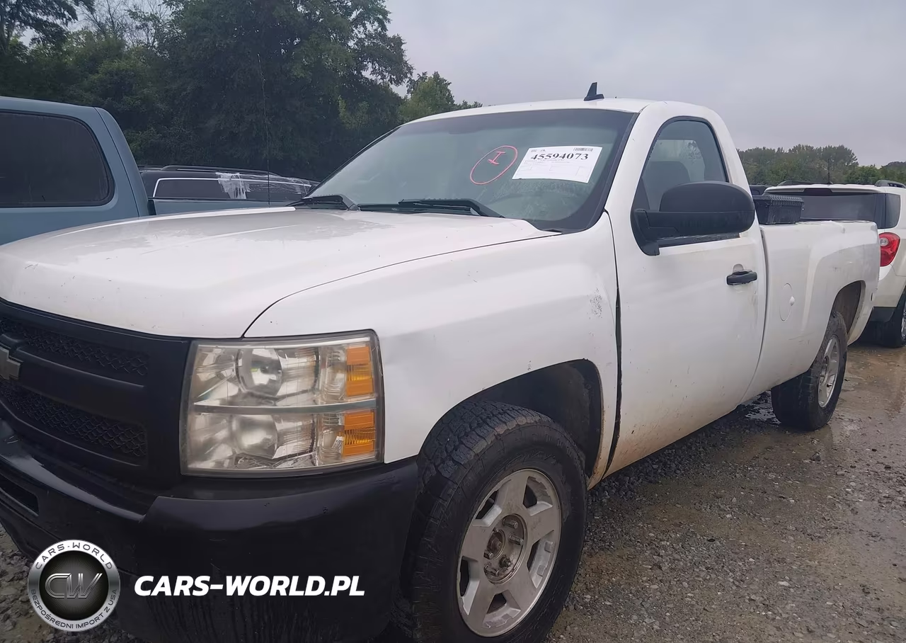 2009 Chevrolet Silverado 1500 Work Truck VIN:1GCEK14C59Z119584 - 2