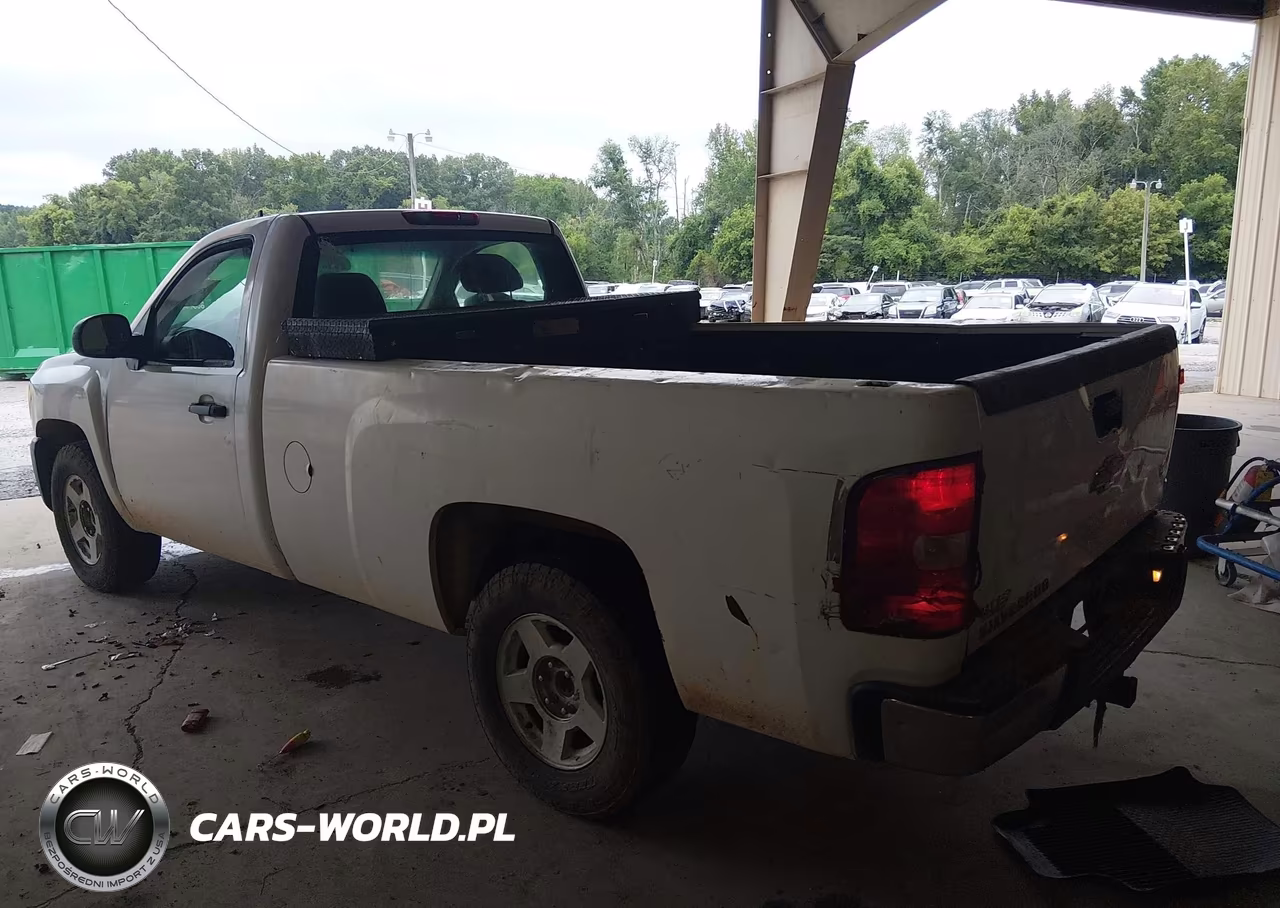 2009 Chevrolet Silverado 1500 Work Truck VIN:1GCEK14C59Z119584 - 3