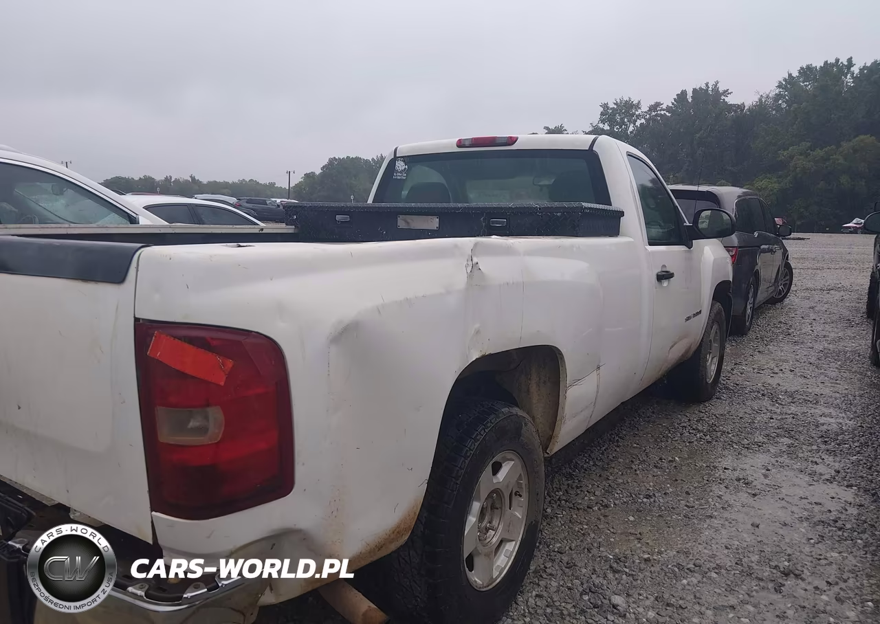 2009 Chevrolet Silverado 1500 Work Truck VIN:1GCEK14C59Z119584 - 4