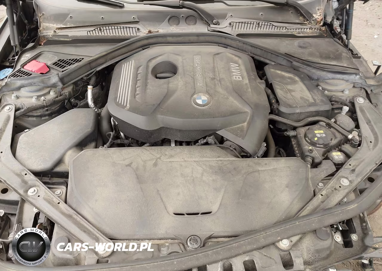 2018 BMW 230I xDrive VIN:WBA2K1C58JVD41358 - 10