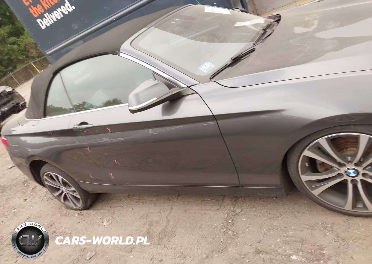2018 BMW 230I xDrive VIN:WBA2K1C58JVD41358 - 13