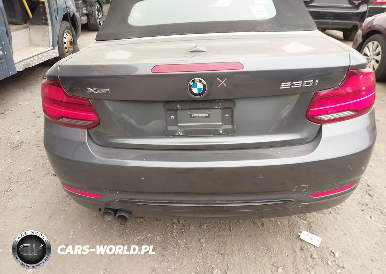 2018 BMW 230I xDrive VIN:WBA2K1C58JVD41358 - 16