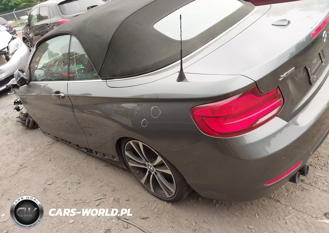 2018 BMW 230I xDrive VIN:WBA2K1C58JVD41358 - 3