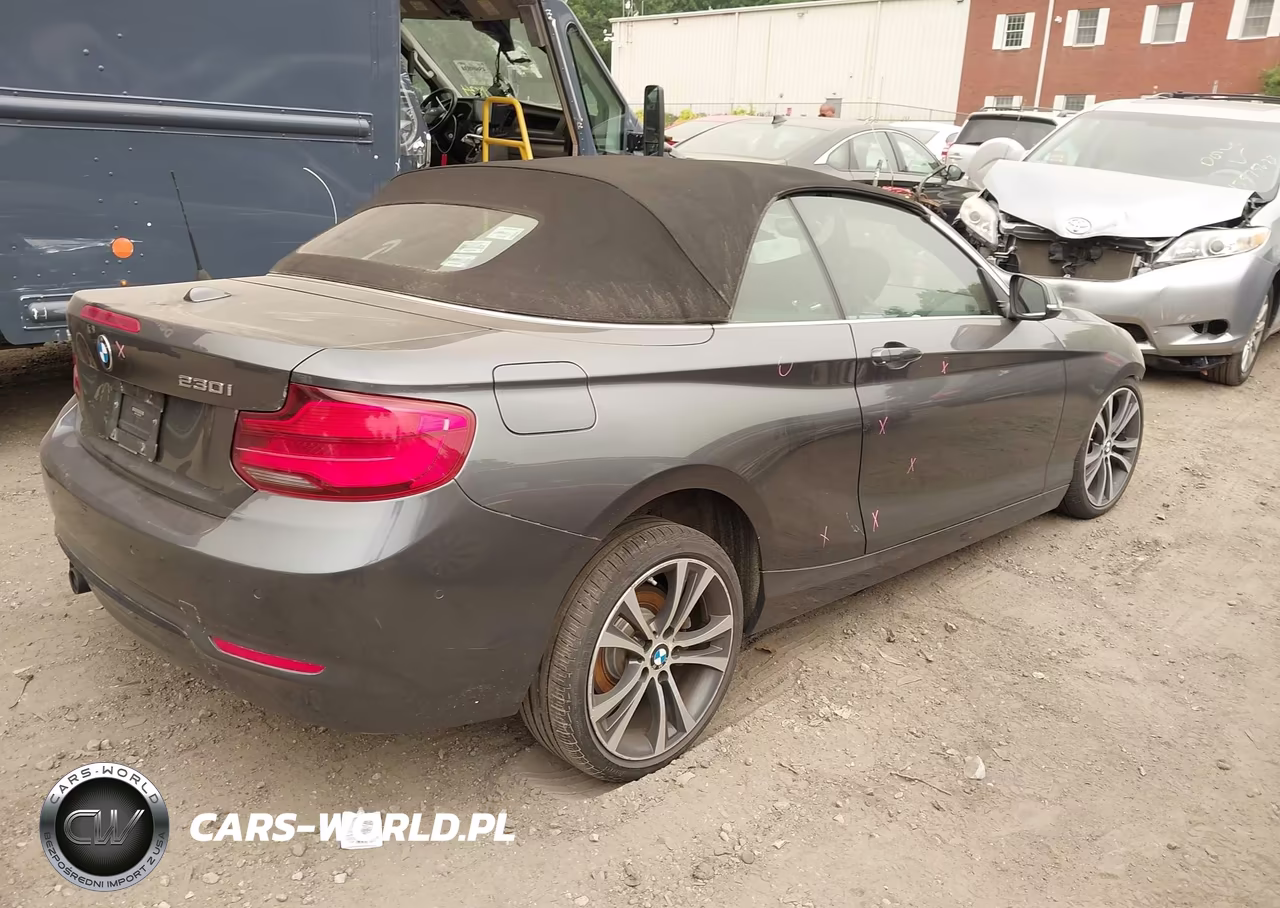 2018 BMW 230I xDrive VIN:WBA2K1C58JVD41358 - 4
