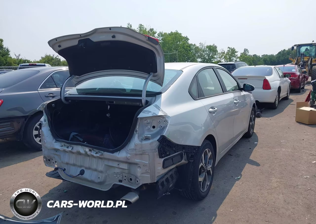 2020 Kia Forte Lxs VIN:3KPF24AD1LE228159 - 4